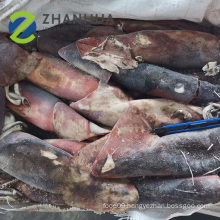 Frozen Squid  Dosidicus Gigas whole round for fishing bait